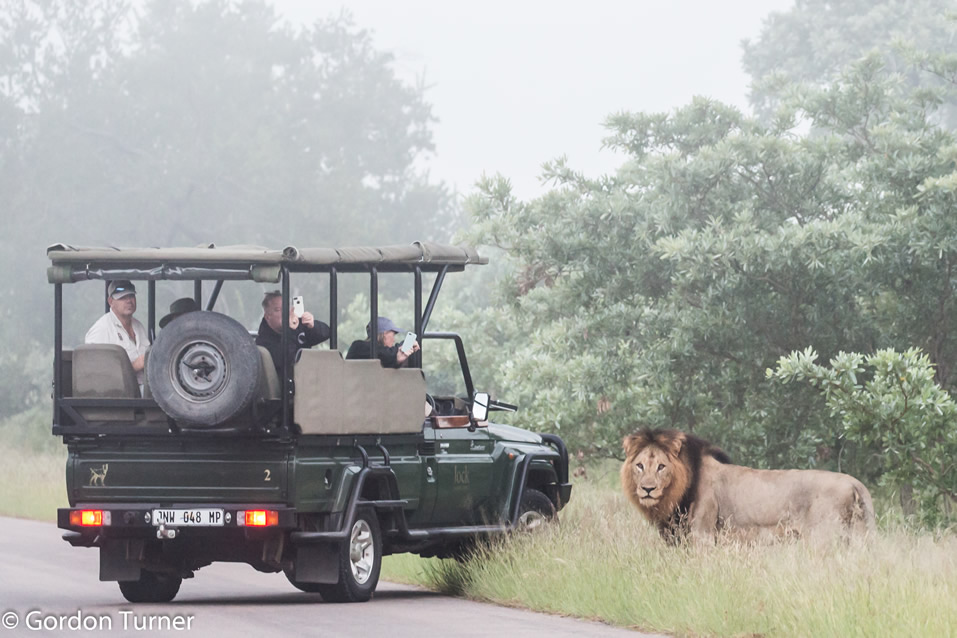<h2>The Best of South Africa Escorted 2019</h2>Kruger Safari, Cape Town, the Winelands & Garden Route | 14 Nights | 5 Rounds | February 23 - March 9